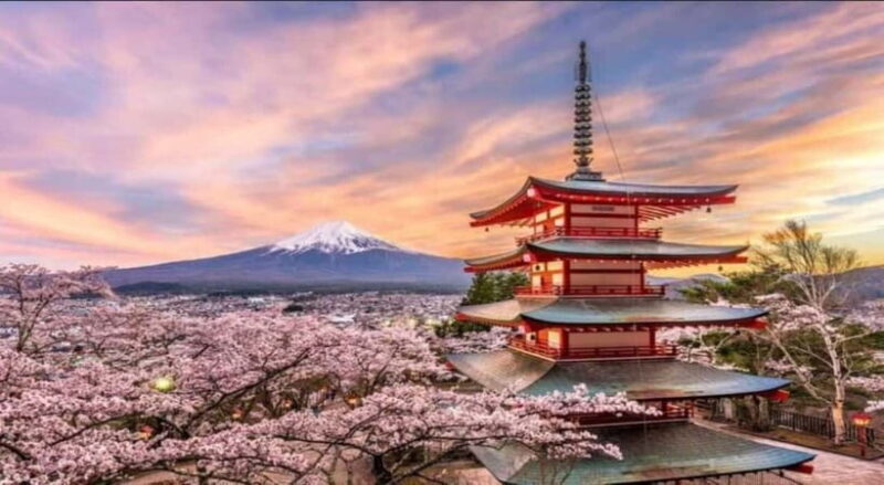 Private Tour to Mt Fuji and Hakone with English Driver - Customization Options and Extra Adventures