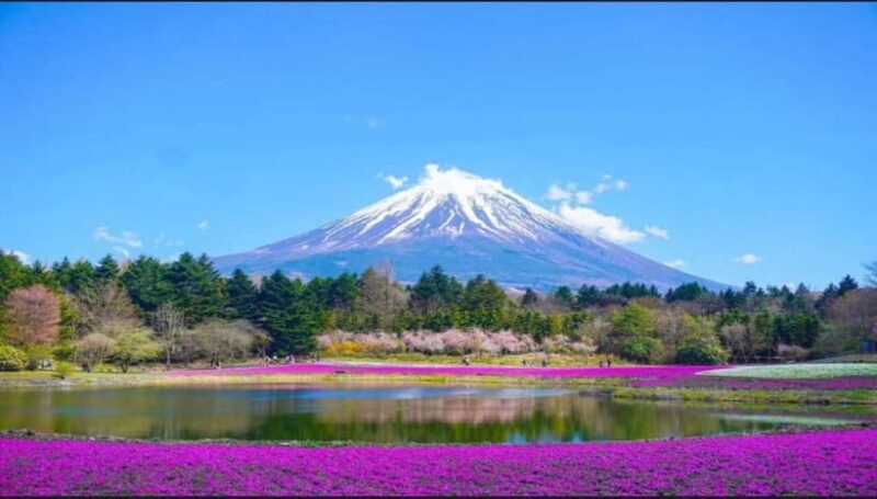 Private Tour to Mt Fuji and Hakone with English Driver - The Sum Up