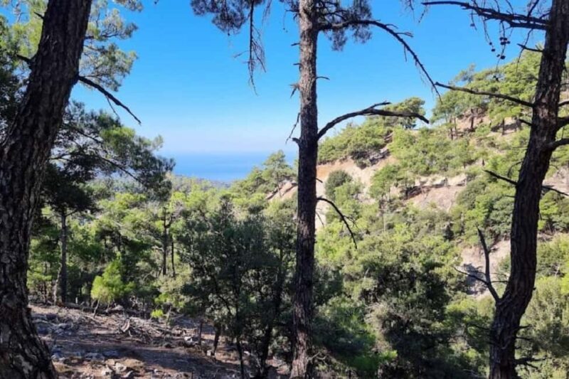Private Tour to Myrtos Beach & Shepherd visit - Who Is This Tour Best Suited For?