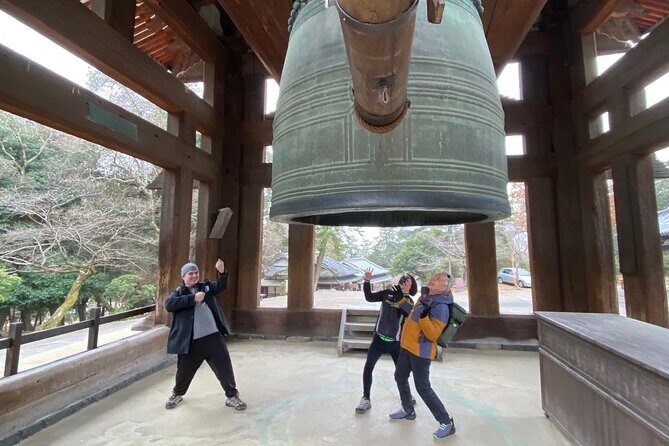 Private Tour to Nara from Osaka with English speaking Driver - FAQ: Common Questions About the Nara Private Tour