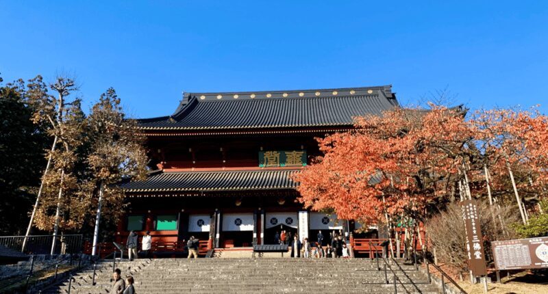 Private tour to Nikko with an Spanish-speaking Guide - Why This Tour Offers Great Value