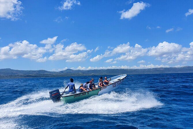 Private Tour to Paradise Island with Snorkel & Manatee Sanctuary - A Deep Dive into the Paradise Island Tour
