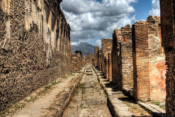 Private tour to Pompeii from Rome: Driver and guide in Pompeii (tickets inc) - Who Should Consider This Tour?