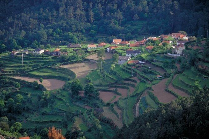 Private tour to Ponte de Lima, Vinho Verde region - Final Words
