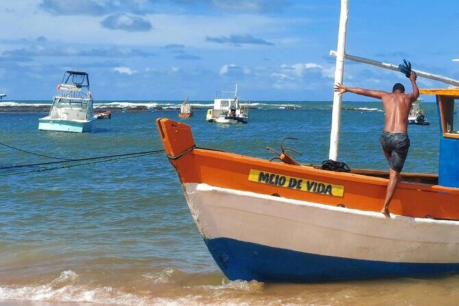 Private Tour to Praia do Forte and Praia de Guarajuba from Salvador - Key Points