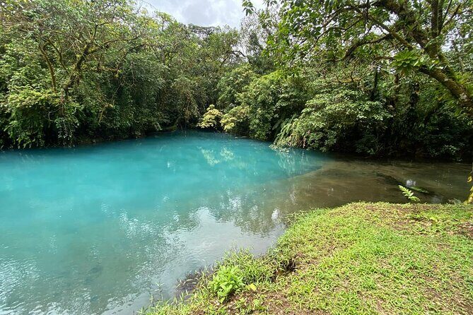 Private Tour to Rio Celeste Hike and Flavors of Costa Rica - The Sum Up