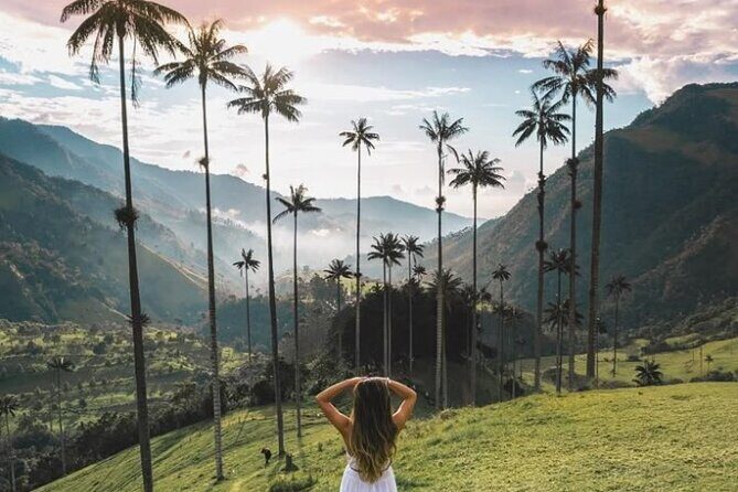 Private Tour to Salento and Cocora Valley from Pereira or Armenia - Frequently Asked Questions