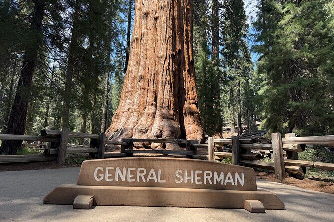 Private Tour to Sequoia and Kings Canyon National Parks - A Private Day Tour to Sequoia and Kings Canyon: An Adventure for Nature Lovers