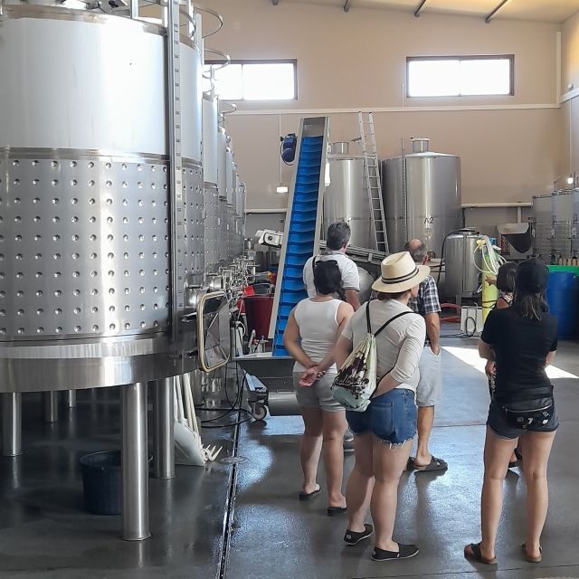 Private Tour to Silves Castle Whith Algarvian Wine Tasting - A Closer Look at the Private Tour to Silves Castle with Algarve Wine Tasting