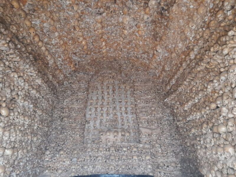 Private Tour to Silves Castle Whith Algarvian Wine Tasting - Who Would Love This Tour?