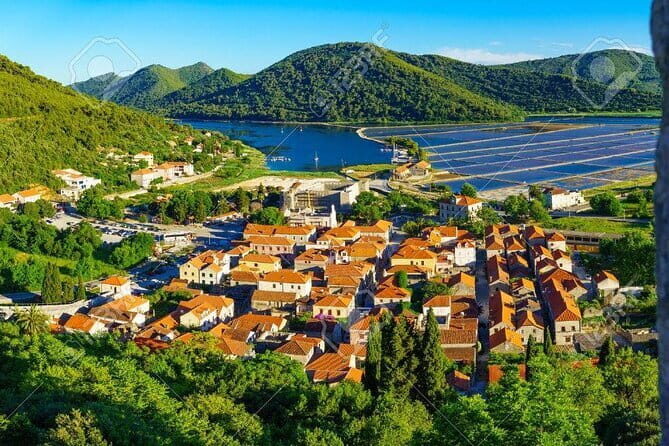 Private Tour to Ston - Authentic Experiences and Traveler Insights