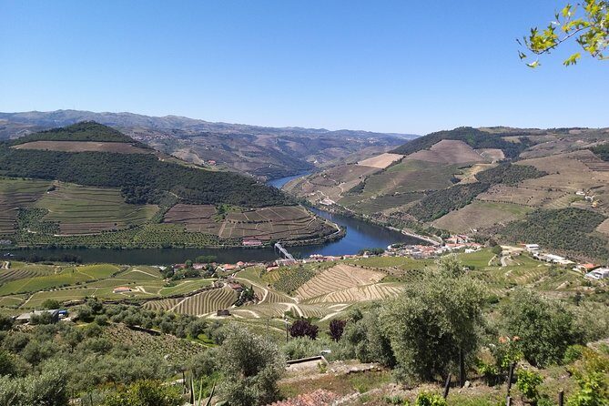 Private Tour to stunning Douro Valley and most renowned wineries - Experience the Charm of Portugal’s Douro Valley on a Private Tour