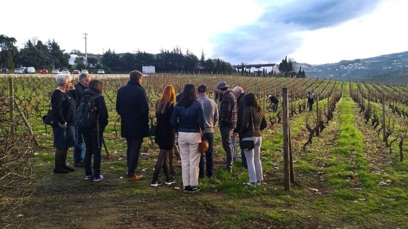 Private Tour to stunning Douro Valley and renowned wineries - Exploring the Douro Valley: An Authentic Portuguese Experience