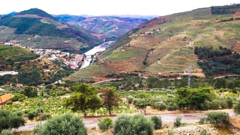Private Tour to stunning Douro Valley and renowned wineries - Who Will Love This Experience?