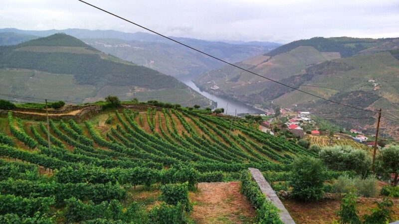 Private Tour to stunning Douro Valley and renowned wineries - Final Thoughts: Is It Worth It?