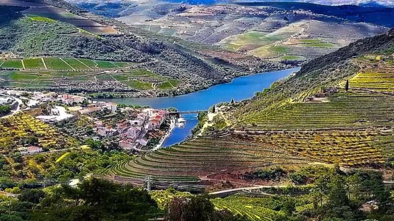 Private Tour to stunning Douro Valley and renowned wineries - FAQ | Frequently Asked Questions