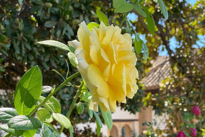 Private Tour to The Alhambra and Generalife from Motril port - Final Thoughts: Is It Worth It?