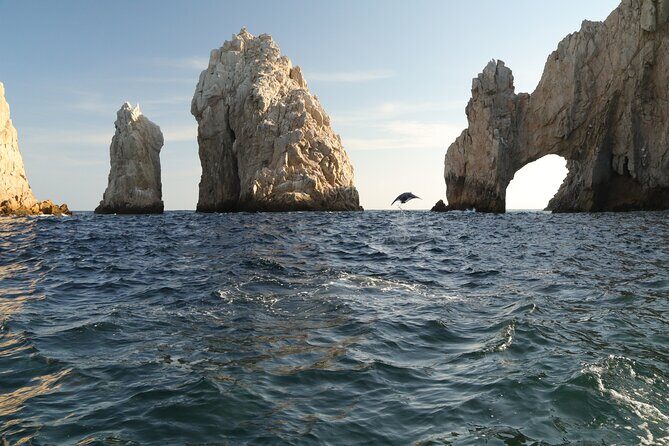 Private Tour to the Arch of Cabo San Lucas by Glass Bottom Boat - Practical Details & Tips
