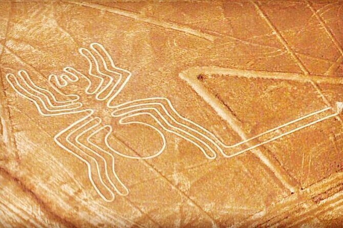 Private Tour to the Astonished Nazca Lines and Huacachina Oasis - Possible Drawbacks and Considerations