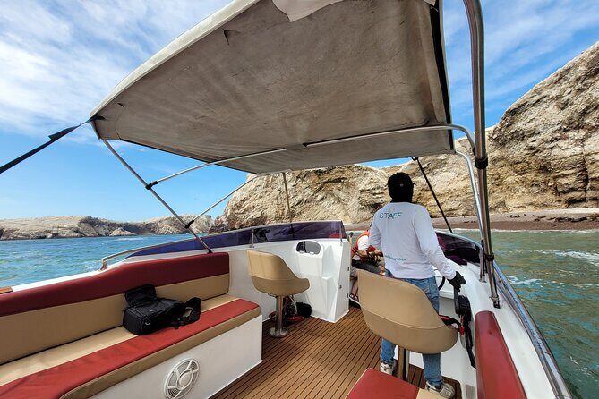 Private Tour to the Ballestas Islands - Who Should Consider This Tour?