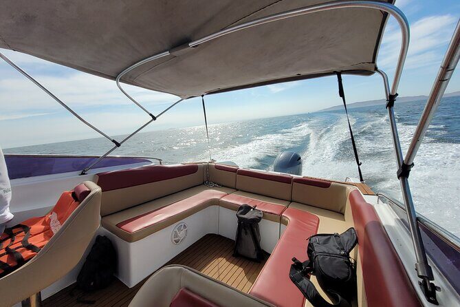 Private Tour to the Ballestas Islands - The Sum Up