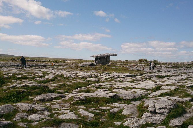 Private tour to the Cliffs of Moher guided in Spanish - Who Is This Tour Best For?