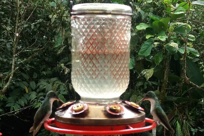 Private Tour to the Hummingbird Reserve and visit to the Middle of the World from Quito - Final Words