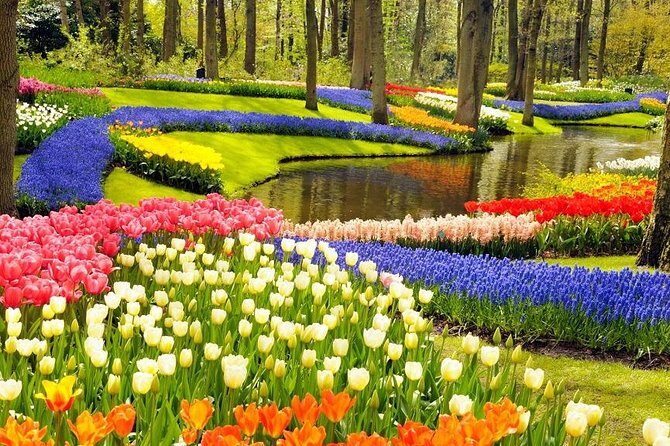Private Tour to the Keukenhof and Tulip Fields - The Sum Up