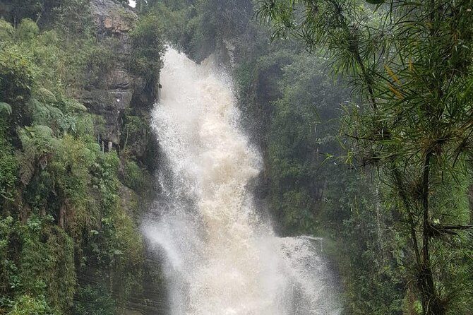 Private Tour to the Nature Waterfall of La Chorrera from Bogotá - What Makes This Tour Stand Out?