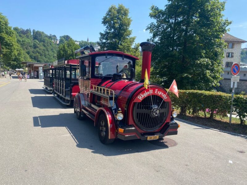 Private Tour to the Rhine Falls with Pick-up at the Hotel - Why Choose This Tour? An In-Depth Look