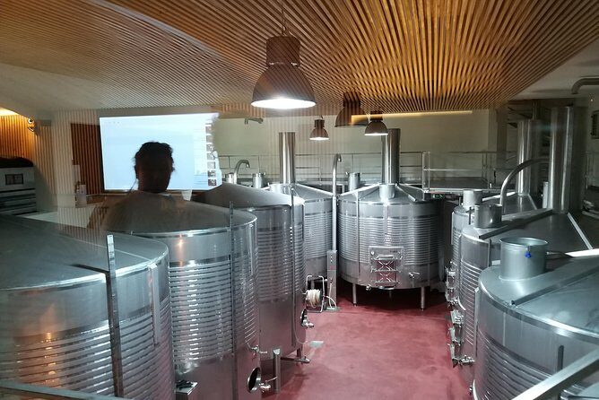 Private Tour to the rock art of Côa Park, Pinhão and Winery - Who Will Love This Tour