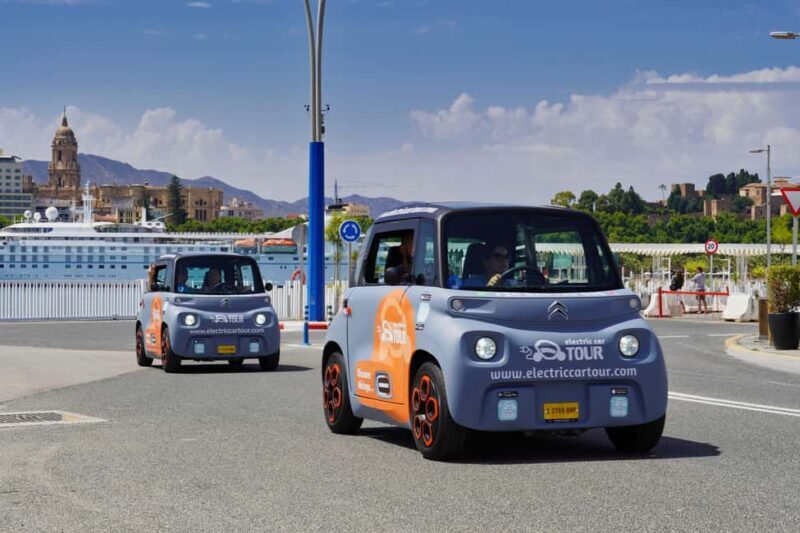 Private Tour to the Roman Villa of Antiopa in Malaga by Electric Car - Who Will Love This Experience?