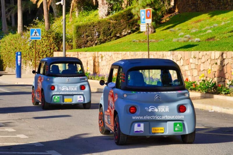 Private Tour to the Roman Villa of Antiopa in Malaga by Electric Car - The Sum Up