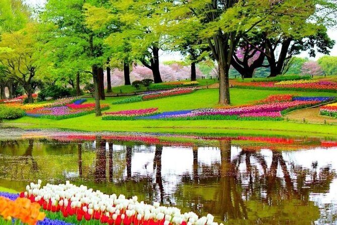 Private Tour to the Tulip Experience with Keukenhof Visit - FAQ