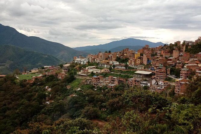 Private Tour to the Yungas Coroico The Death Route from La Paz - Who Should Consider This Tour?