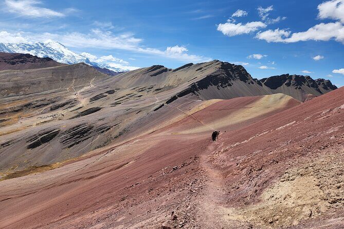 Private tour to Vinincunca Rainbow Mountain and Red Valley - Who Would Love This Tour?