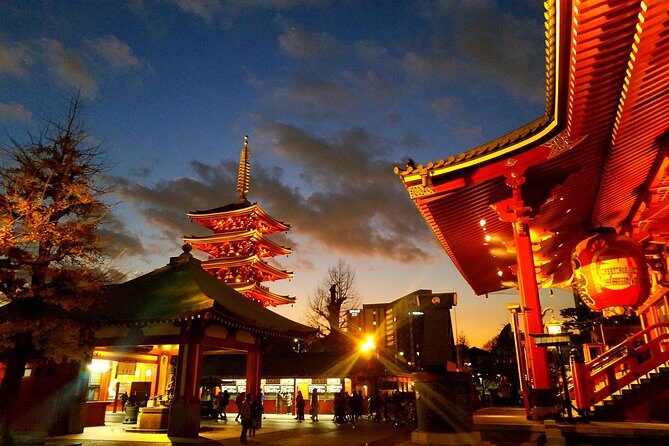 Private tour Tokyo - The Harmony of Modernity and Tradition - Key Points