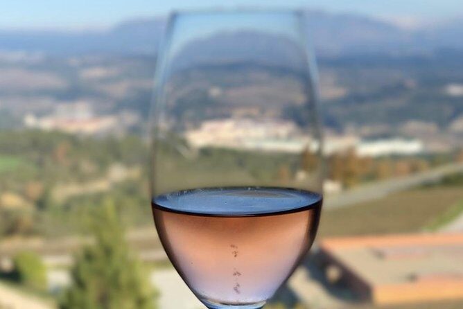 Private Tour: Top Three Organic Wineries & Local Lunch Included - Is this Tour Worth the Price?