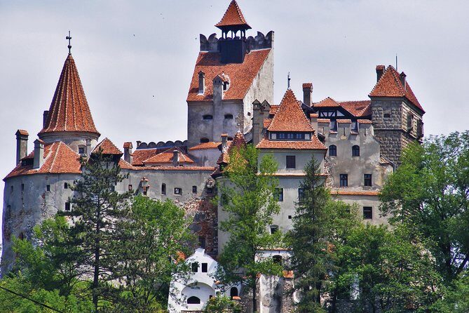 Private Tour: Transylvanian Castles and Brasov's Medieval Old Town - Exploring the Transylvanian Highlights