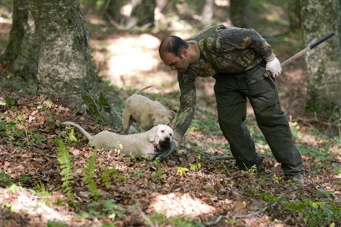Private Tour: Truffle-Hunting Experience from Naples with Lunch - A Closer Look at the Truffle-Hunting Tour