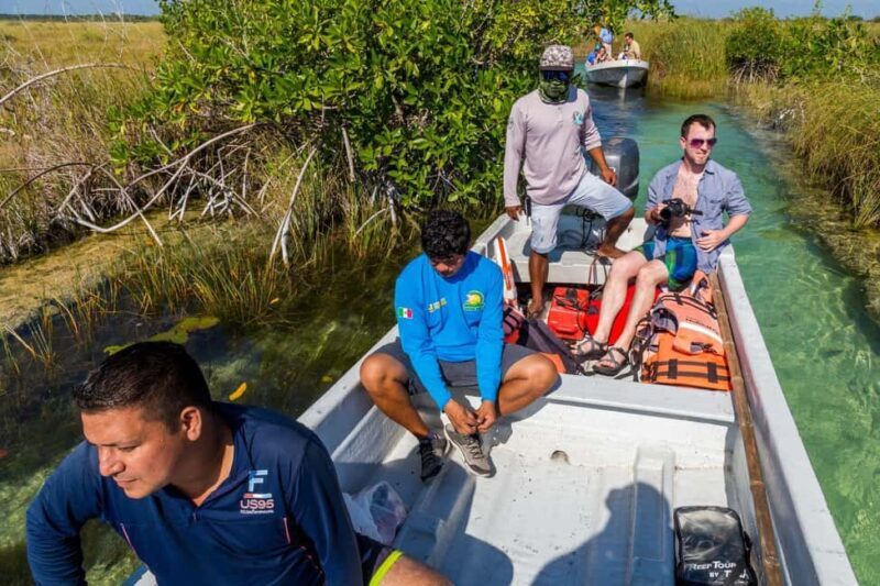 Private Tour: Tulum Ruins, Natural Waterways Float & Tacos - A Detailed Look at the Private Tulum Tour