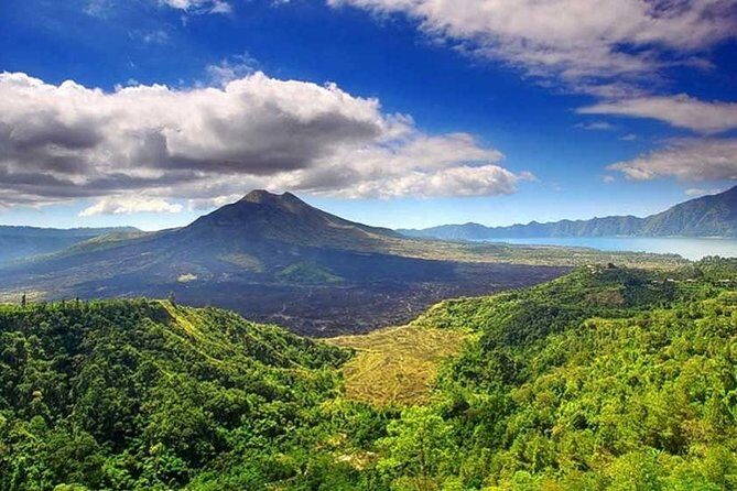 Private Tour - Ubud Kintamani Tours - What’s Included and What to Expect