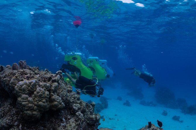 Private Tour: Underwater Scooter Bora Bora - The Sum Up: Is It Worth It?