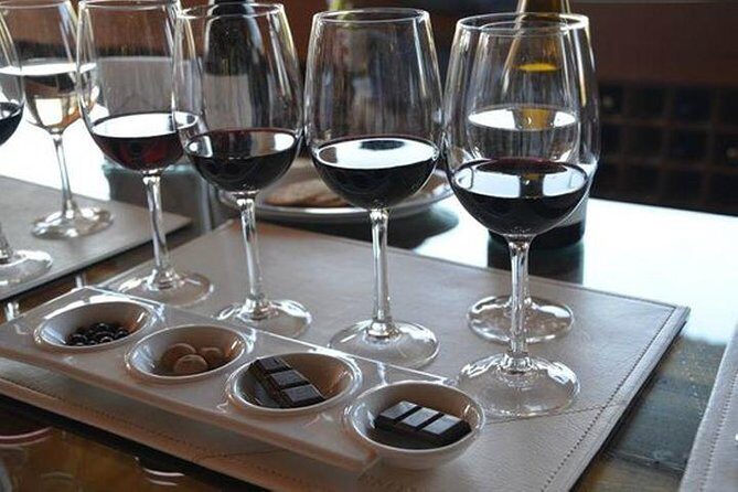 Private Tour: Undurraga Vineyard Experience with Premium Wine Tasting - Exploring the Undurraga Vineyard Experience in Detail