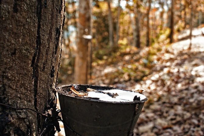Private Tour: UNESCO Archaeological Heritage Of The Lenggong Valley from Ipoh - Practical Details and Considerations