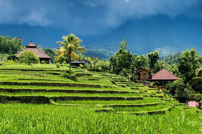 Private tour- UNESCO rice terraces, Ulundanu Beratan, Batukaru, Tanah lot temple - Exploring Bali’s Cultural and Natural Treasures in Depth