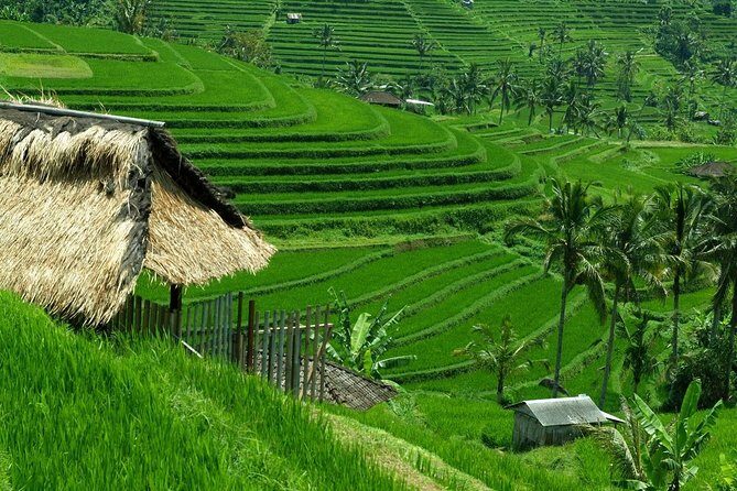 Private tour- UNESCO rice terraces, Ulundanu Beratan, Batukaru, Tanah lot temple - Who is This Tour Best For?