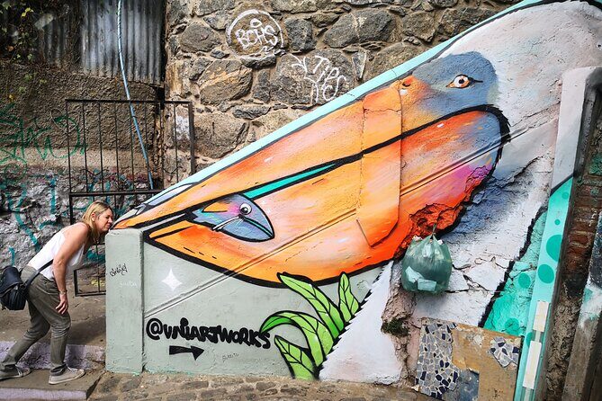 Private Tour Valparaiso from SanAntonio Cruise Terminal to Stgo - Introduction: Discovering Valparaiso and Beyond