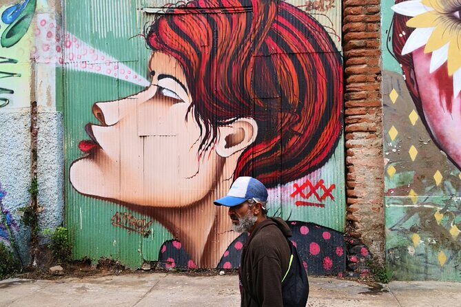 Private Tour Valparaiso from SanAntonio Cruise Terminal to Stgo - Final Thoughts