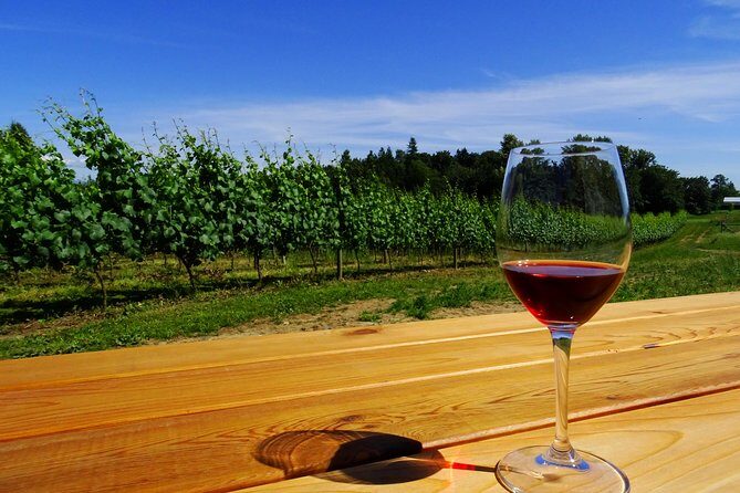 Private Tour: Vancouver Half Day Wine Tasting Tour - Who Should Take This Tour?